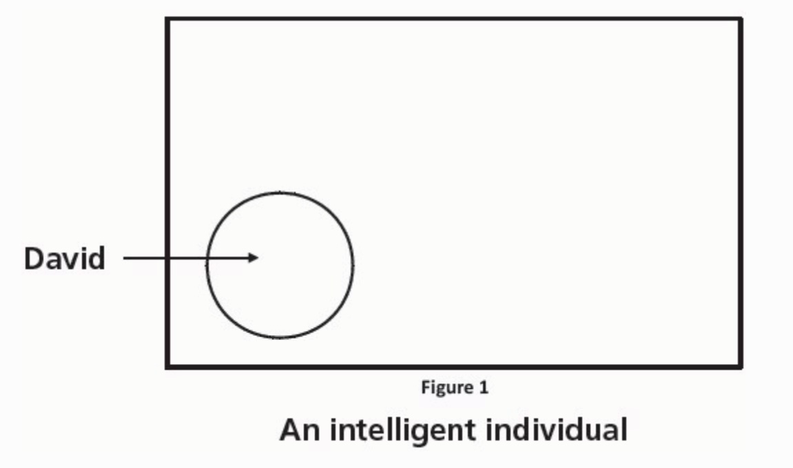 The rectangle represents all potential thinking about an issue. The circle represents David’s sphere of knowledge about the issue.